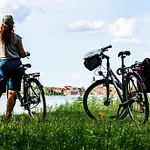 Seepferdchen Am Mueritzufer *