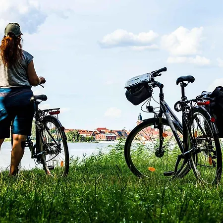 Seepferdchen Am Mueritzufer *