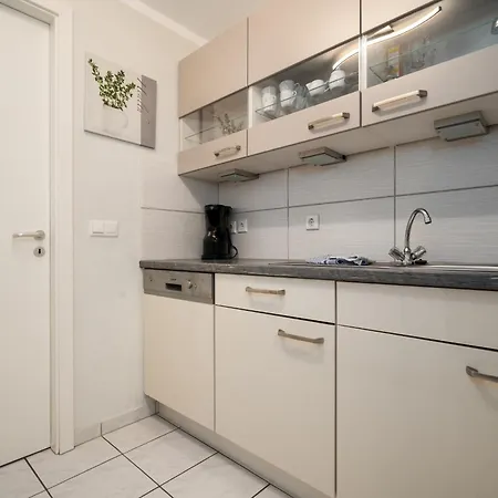 Seepferdchen Am Mueritzufer *