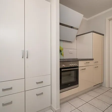 Seepferdchen Am Mueritzufer *