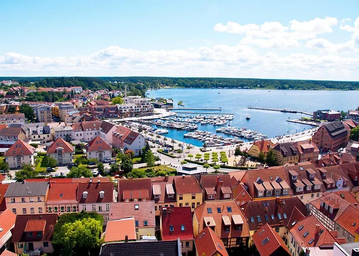 Seepferdchen Am Mueritzufer